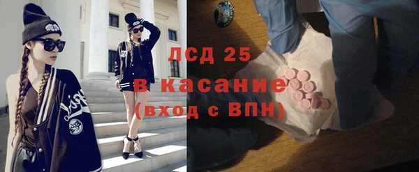 прущие грибы Балахна