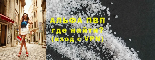 спиды Бородино