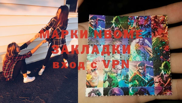 прущие грибы Балахна