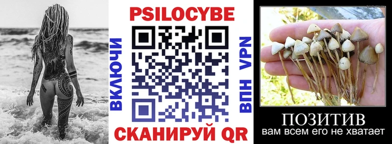 Псилоцибиновые грибы мицелий где можно купить наркотик Нарткала